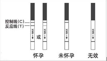 早早孕试纸多久能测出来,您用对了吗?