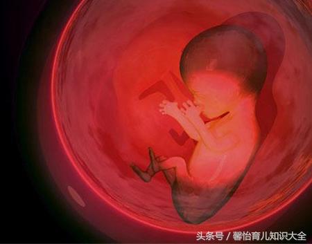 怀孕四个月,胎儿还能打掉吗