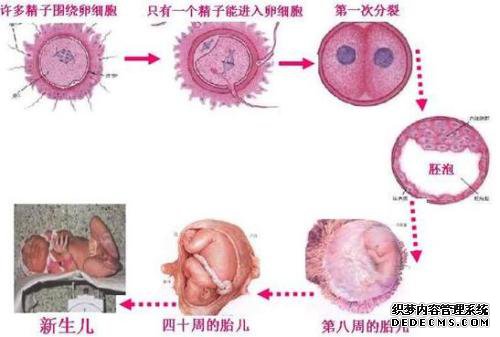 药流成功率不及可视无痛人流
