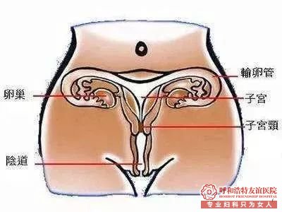 呼和浩特友谊医院女人再穷也不能省这五项妇科检查!