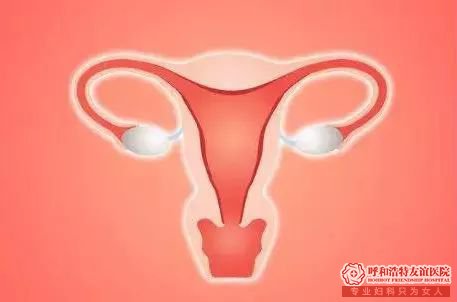 呼市为什么女性一定要做定期妇科检查?看完你就知道了!