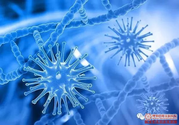呼市阴道炎“纠缠”着75%的女性,不想受其困扰,注意这些!